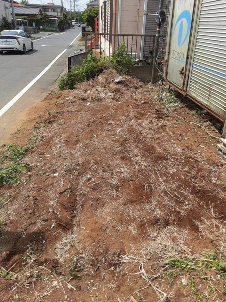 コンテナ解体